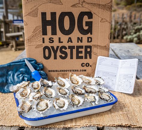 Hog island oyster - Feb 16, 2024 · After getting your fill of seafood, visit Hog Island Oyster Co. in Marshall, where tours of the 160-acre farm dive into the synergy between shellfish and nature. You’ll also learn how the farm ... 
